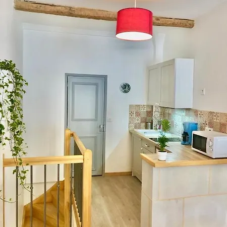 Lejlighed Joli Duplex Avec Balcon Et Vue Sur Place Du Centre Historique ! Foix